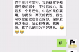 西盟专业讨债公司有哪些核心服务？